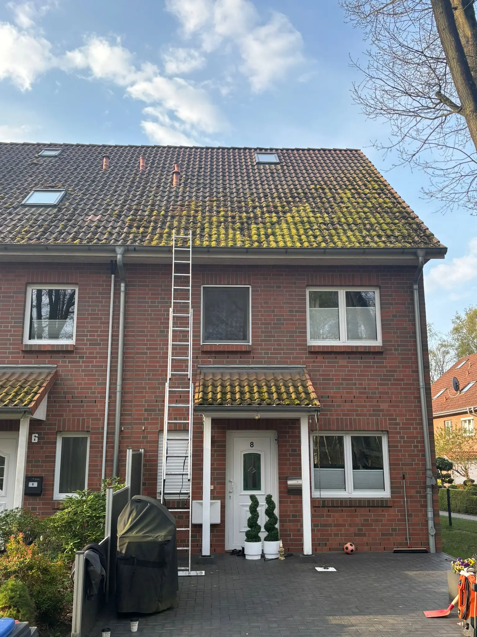 Dach vor der Reinigung